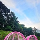 영화산책 이미지