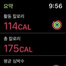 요가디야 이미지