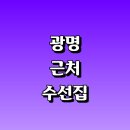 한양 명품 세탁소 | 광명시 근처 옷수선 수선집 정보 추천 잘하는곳 자크 니트 치마 세탁소 신발 가죽 패딩 후기