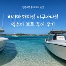 이구아나 | [신혼여행지 추천] 바하마 돼지섬 이구아나섬 엑수마 보트 투어 후기