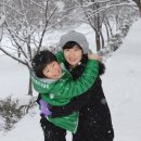 너울가지 이미지