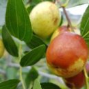 바람의말 이미지