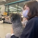 신광동물병원 네이버블로그