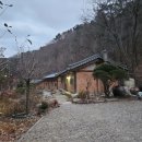 반구대민박 | 울산 반려 동반 나홀로 여행 - 반구대옛집, 해산공원 그리고 과메기