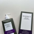 바이오피드 | 탈모 고민으로 시작한 바이오인터체인지 마두카샴푸 후기, 생각보다 괜찮네요