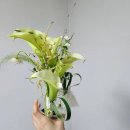 피코네일(Piconail) | 대전 달빛스쿠터 웨딩촬영 드레스, 메이크업 준비물 (부케, 귀걸이, 양복) 꿀팁! #1
