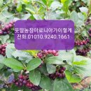 웃말농장 이미지