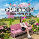 국립세종수목원 봄꽃전시 세록세록 아이와 세종 가볼만한곳 데이트 4월 행사 온실 주차 정보