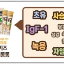 롱롱 이미지
