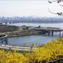 달맞이근린공원 이미지