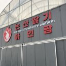 아인농장 | 논산 아이랑 딸기체험 내돈내산 장단점 후기 논산 아인팜 쿠폰 주차