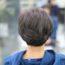 애쉬그레이 카카오 검색결과