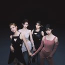 미니멀새비지 이미지