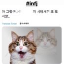 공감 이미지
