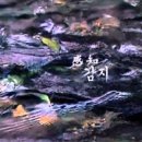 보리상사 이미지