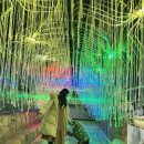 호랑이와 반달곰 | 대전아쿠아리움 아이랑 실내데이트 수족관부터 동물원까지 대만족 후기