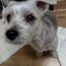 강동-천호-2792 이미지