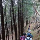 지리산둘레길 22코스(주천-밤재) 네이버블로그