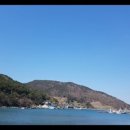 동그라미주 이미지