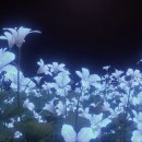 칼리아 - 고양시 일산동구 | 칼리아