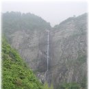 동산양계 이미지