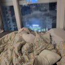 그루밍쇼 이미지