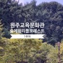 숲체험 리틀 포레스트 이미지