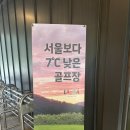 카트 무료쿠폰은 써야 한다 : 2024 라싸 GC 라운드 후기