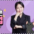 인천고양이분양 테디럽 이미지