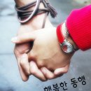 희곤농장 Daum카페