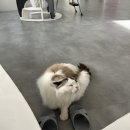 카페우주(woozoo) 이미지