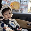 아이엠팜(유)생축장 | [19개월 아기랑 파리여행기] 바스티유 마켓 , 에펠탑뷰 카페, 실패한 한국인 맛집