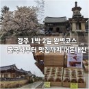 UR(경주시)-[경감로]-상-20 | 경주 1박 2일 가볼만한 곳 추천 불국사 황리단길 맛집 카페 보리빵 맛집 내돈내산