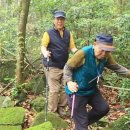 가거도(신안군) 이미지