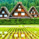 알프스뷔페 이미지