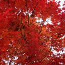 정선주정신과의원 | MBC 불만제로 성형 부작용의 불편한 진실, 저가 관광의 실체 11월9일(수) 저녁 6:50 방영