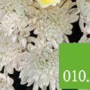 (주)효디자인