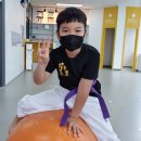 새봄태권도 이미지