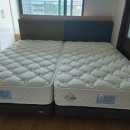 그린슈퍼(에이스) 이미지