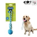 덴탈투유 이미지