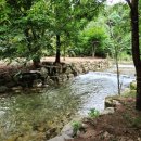 아버지의 숲 산정캠프 이미지