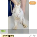 조재진동물병원 이미지