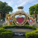서울랜드 야외수영장 | 과천 서울랜드 종일권 자유이용권 할인 불꽃놀이