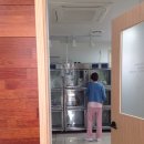 라임이 수술 후 / 강아지 중성화수술 / 유선종양수술