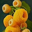 동강나루 이미지