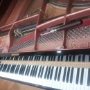 안양평강교회 이미지