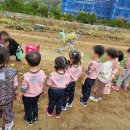 숲깊은 농장 이미지