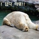 (주)테이스티코리아 이미지
