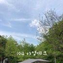 상2리 | 단양역 출발 구경시장, 상학주차장, 금수산, 제천역까지 대중교통 여행
