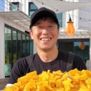 별똥농장 이미지